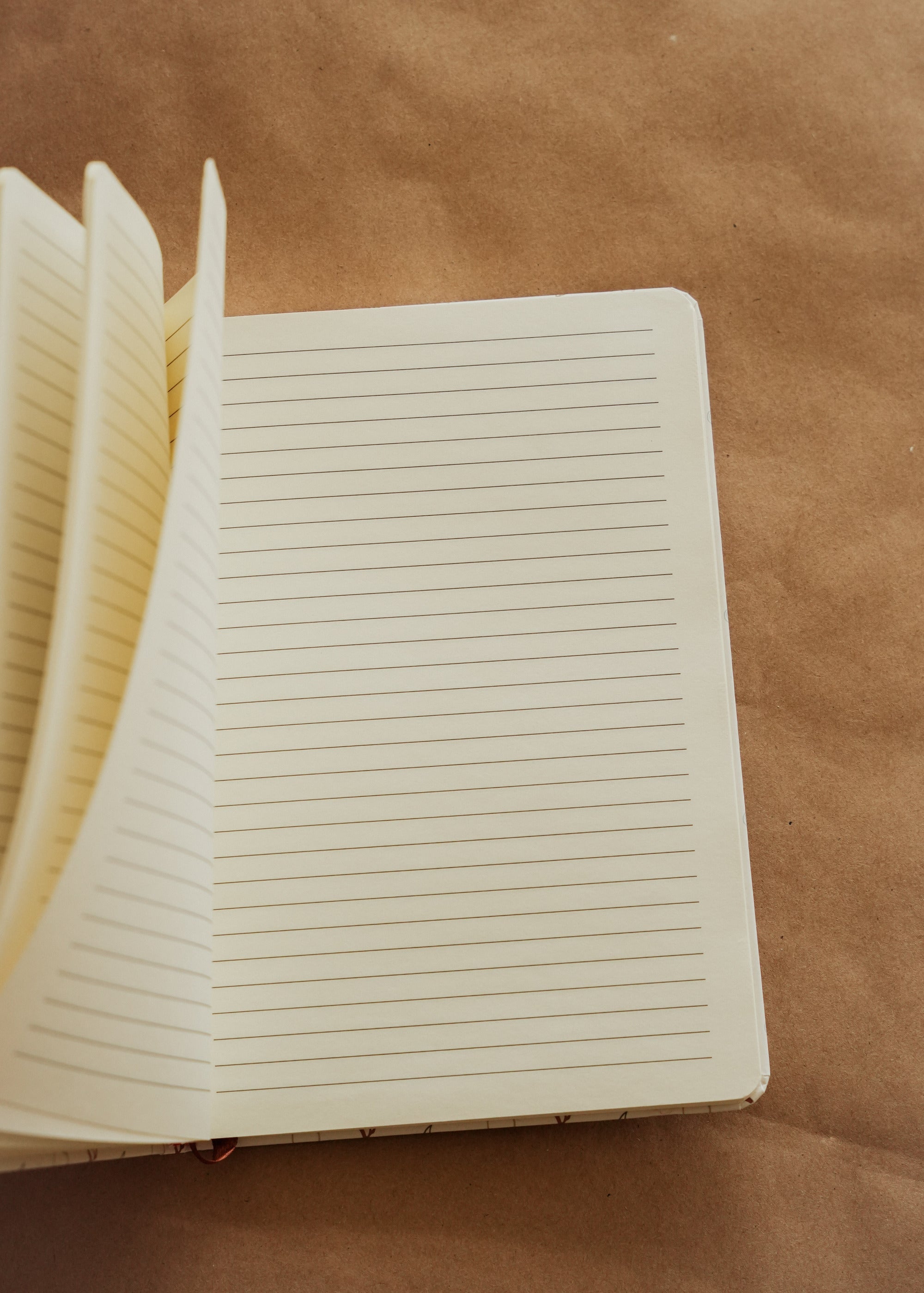 Drawn journal