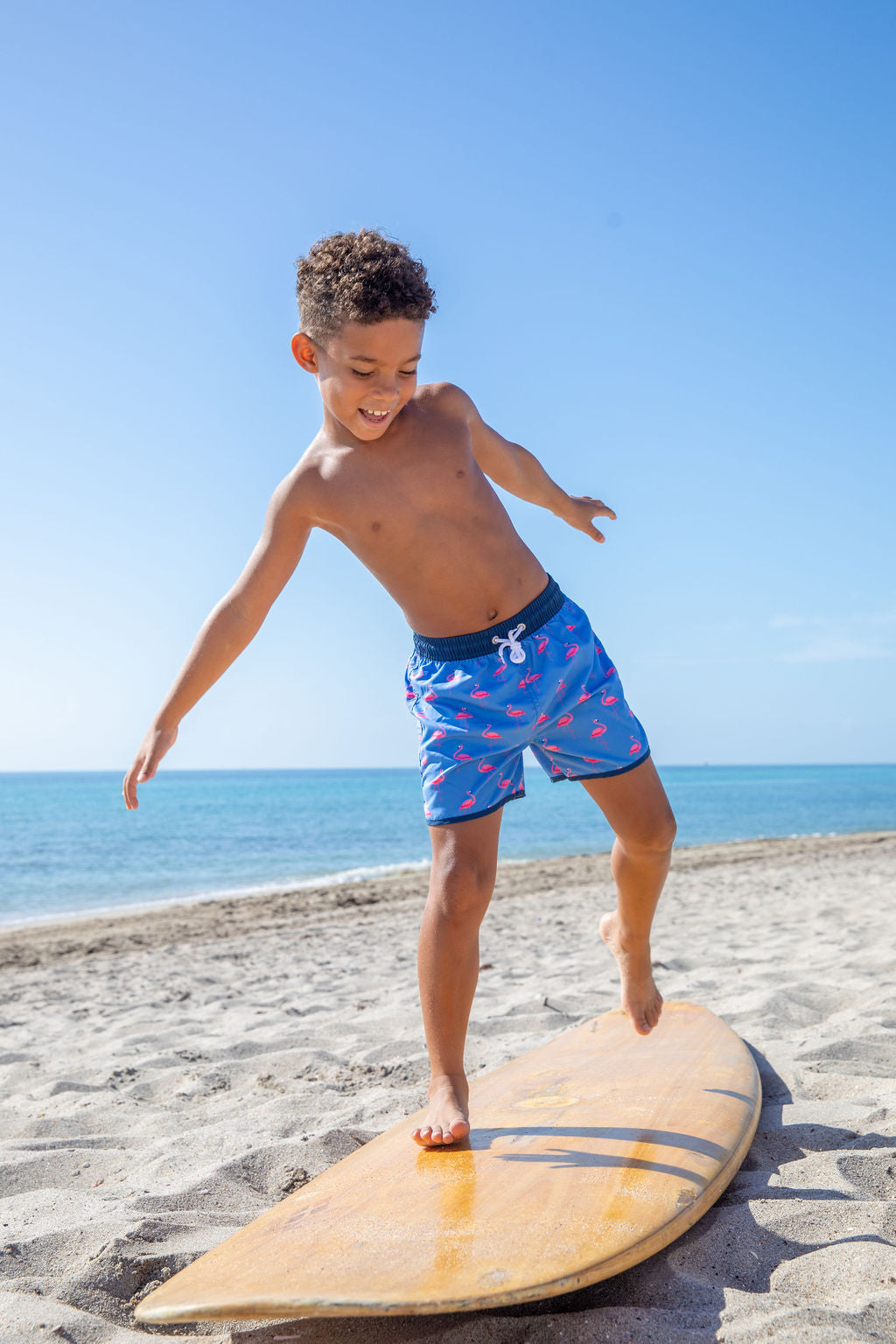 North Shore Boys Swim Trunks – Flamingo Print