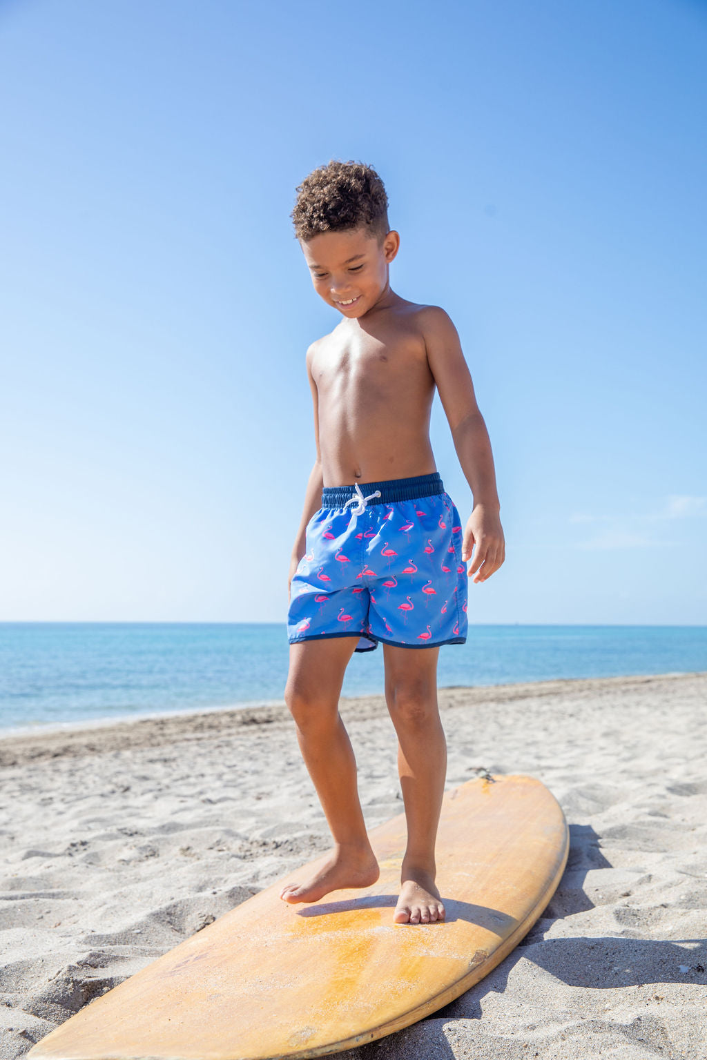 North Shore Boys Swim Trunks – Flamingo Print