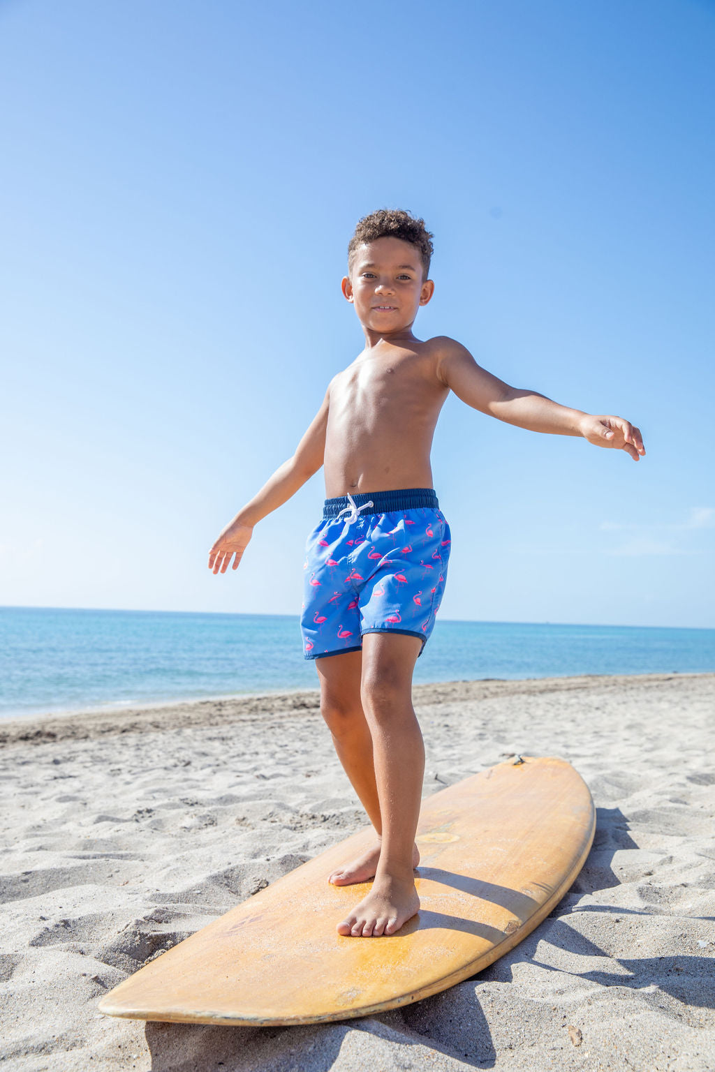 North Shore Boys Swim Trunks – Flamingo Print