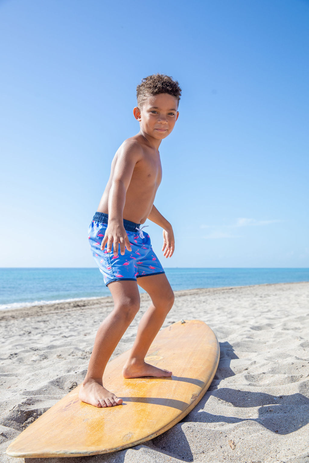 North Shore Boys Swim Trunks – Flamingo Print
