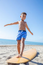 North Shore Boys Swim Trunks – Flamingo Print