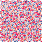 Girls Ana Dress with Ruffles | Red and Blue Floral