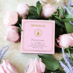 French Lavender | Boxed Flower - Blissfully Lavender BoutiqueSpongellé