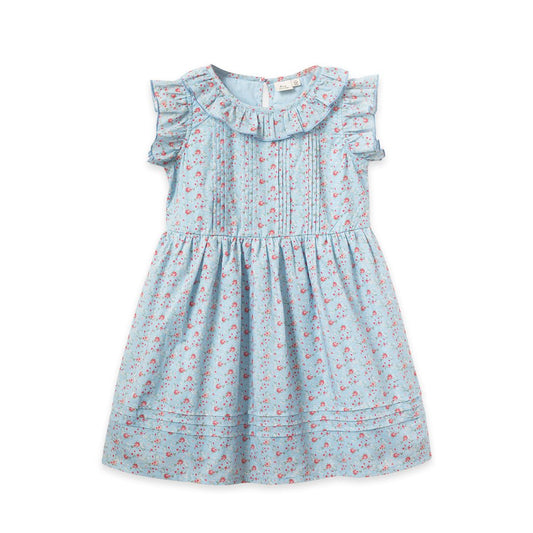 Girls Ana Blue Summer Posy Dress - Blissfully Lavender BoutiqueBeet World