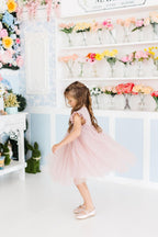 Girls Dusty Pink Shimmer Tutu Dress - Blissfully Lavender BoutiqueMila & Rose ®