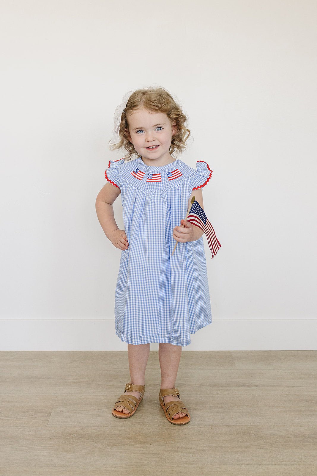 Girls Flag Gingham Smocked Dress - Blissfully Lavender BoutiqueMebie Baby