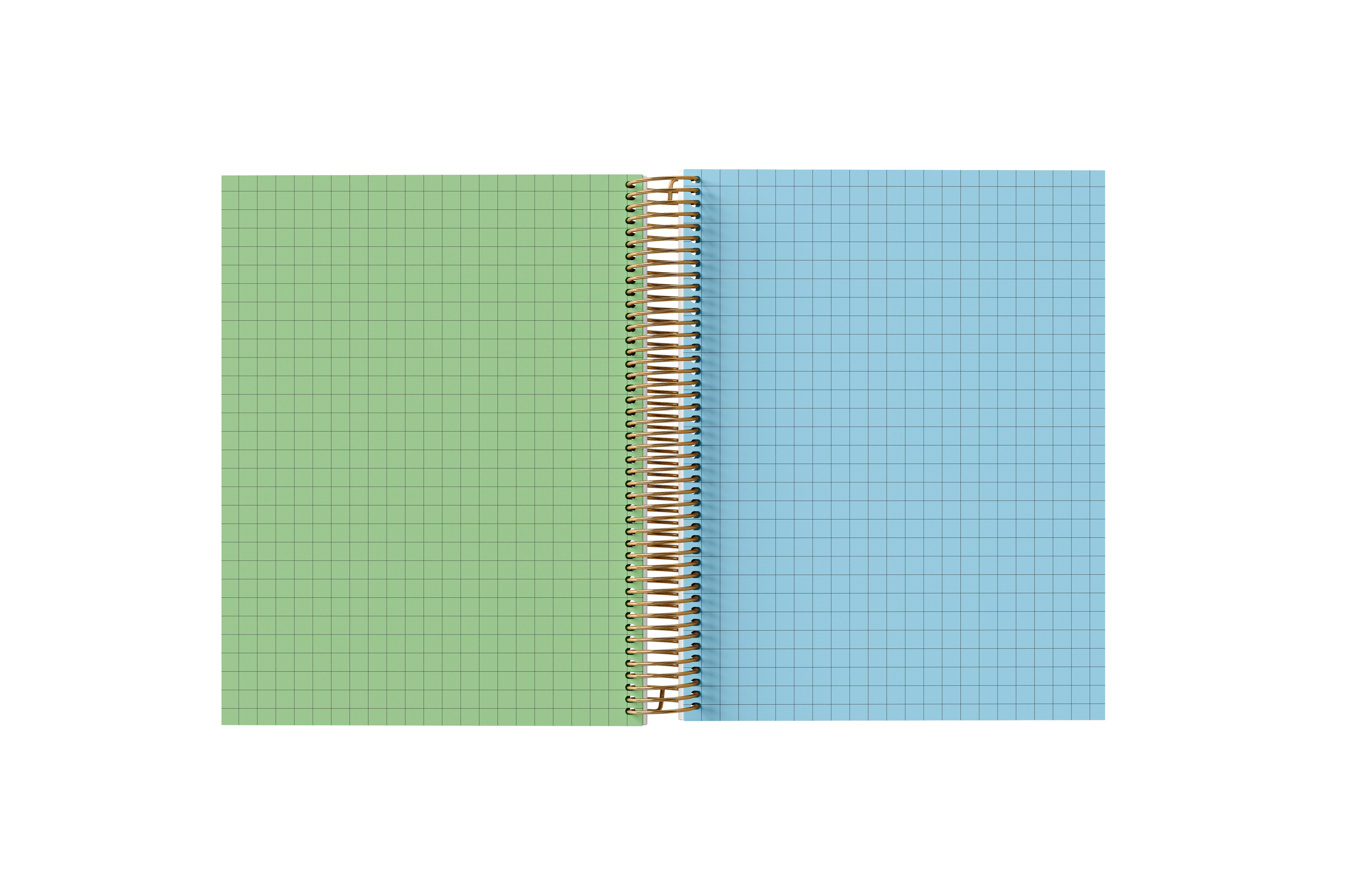 Graph Paper Holographic Notebook by BERTEAU & Co.