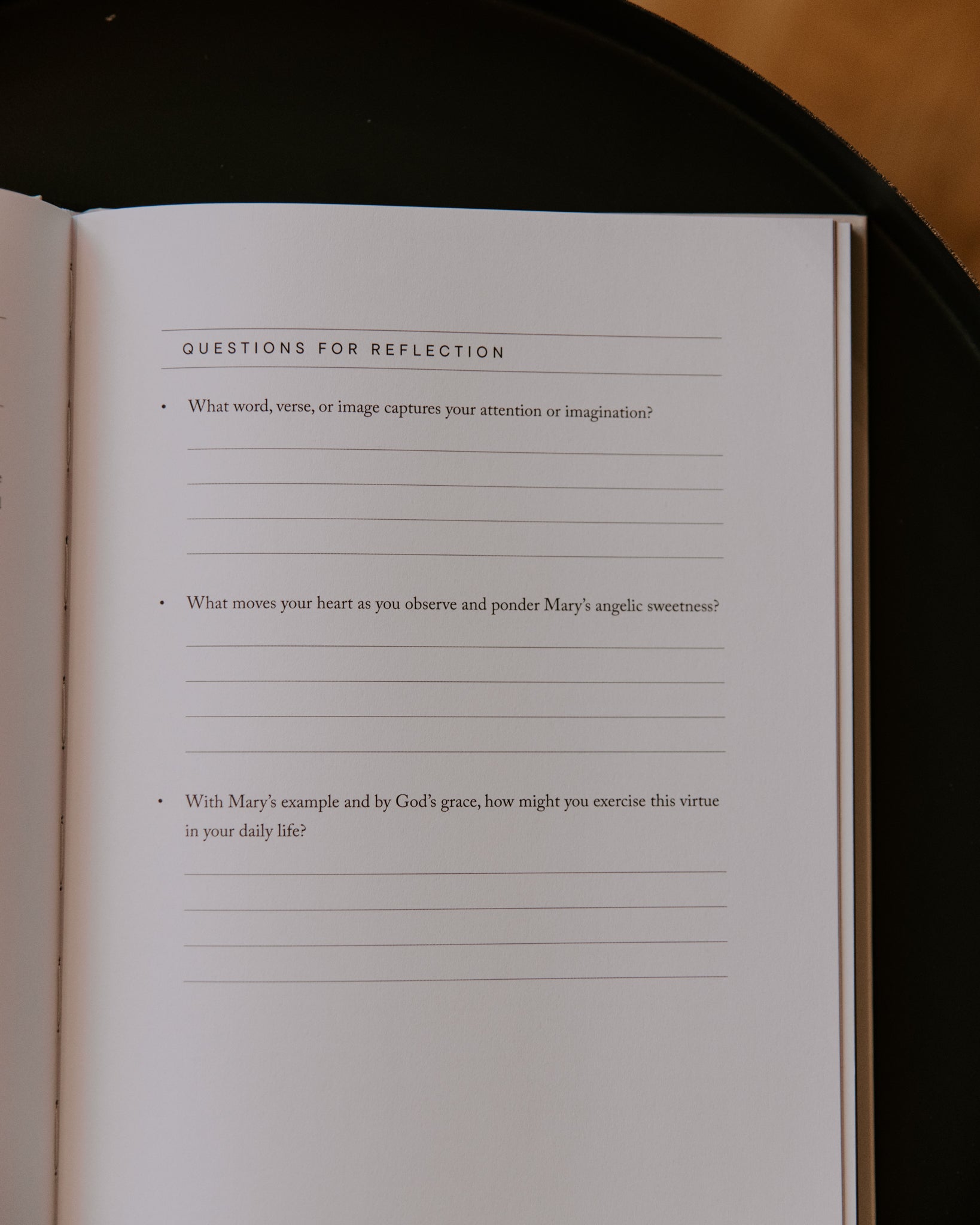 Home // Blessed Conversations Catholic Study on the Virtues of Mary