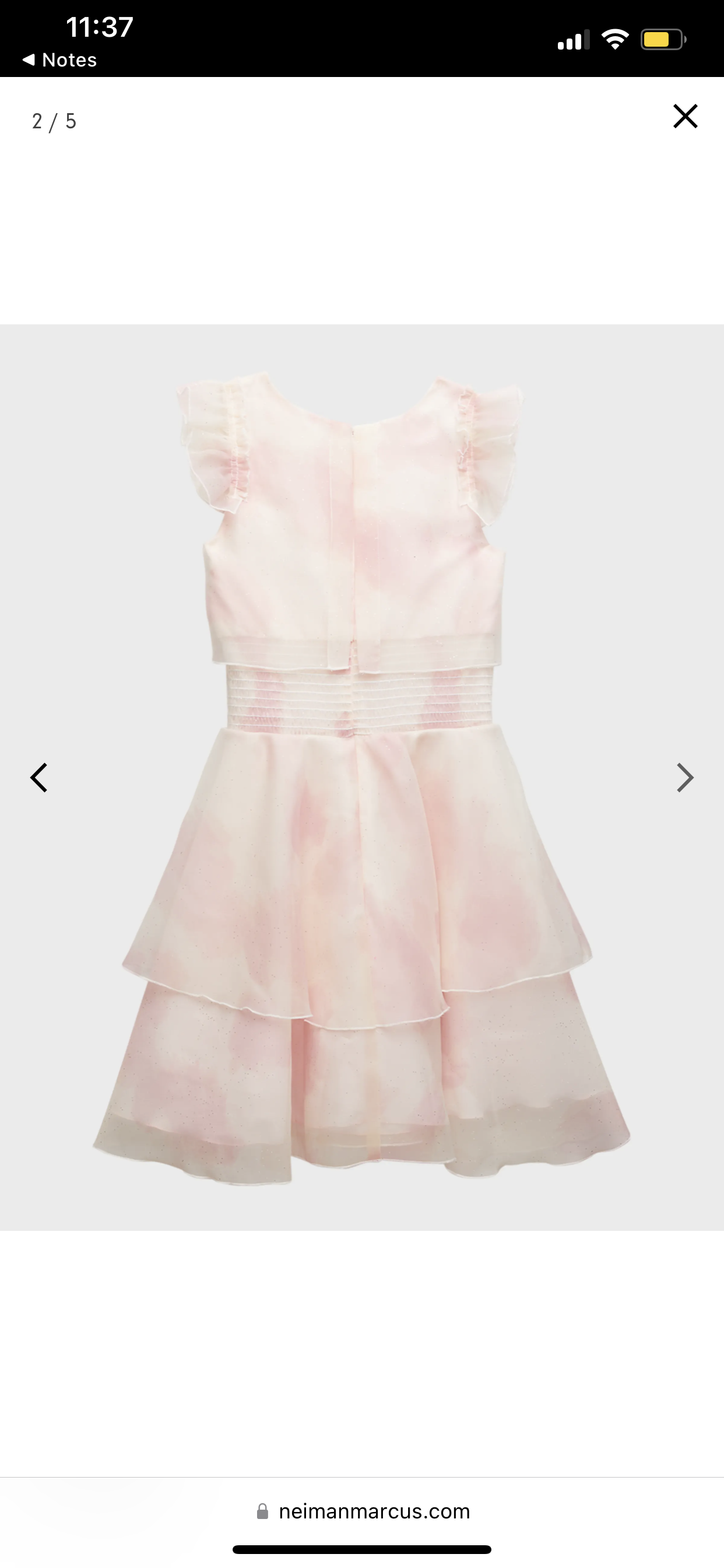 Adele Organza Party Dress