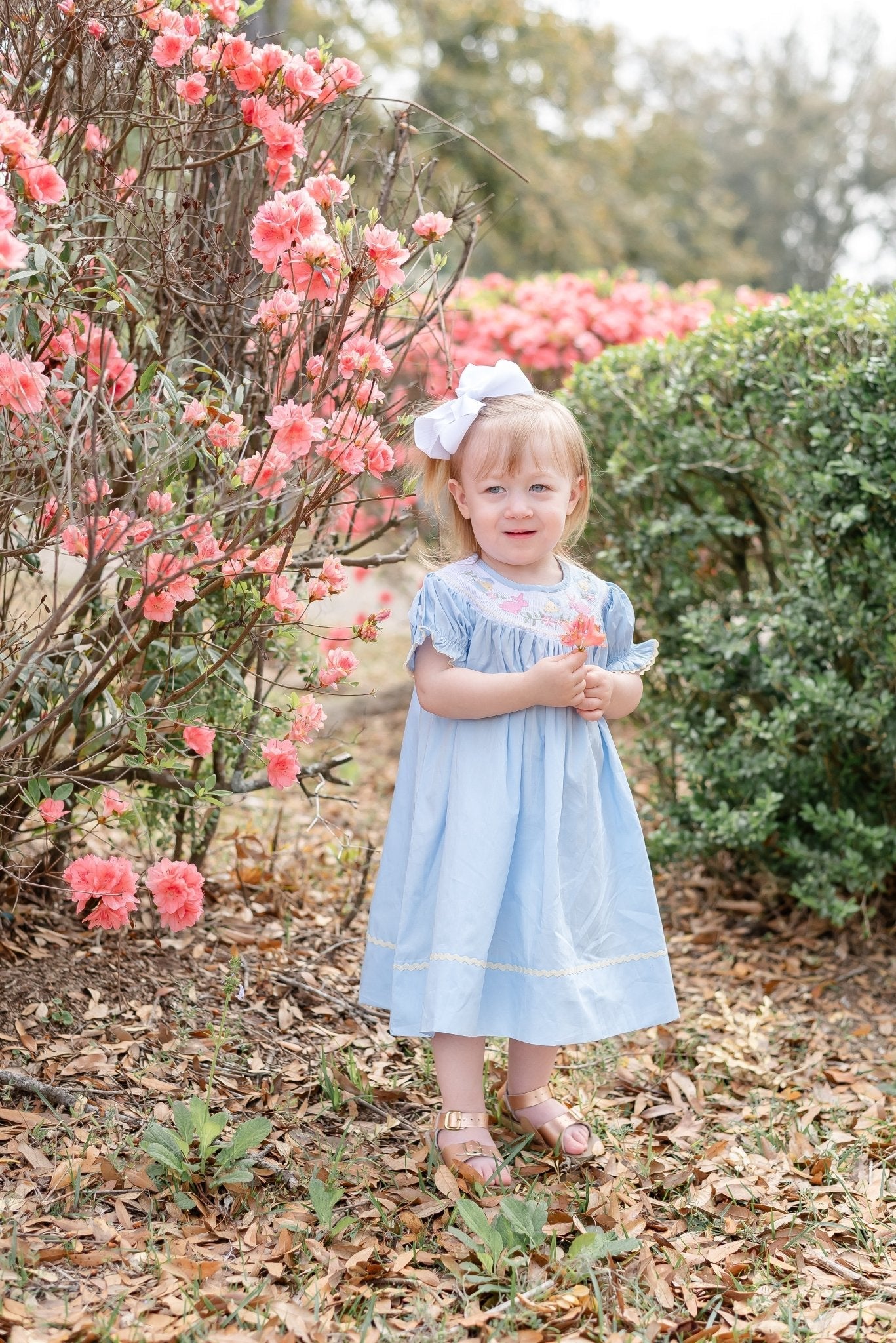 Light Blue Easter Smocked Bishop Dress