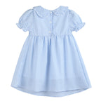 Light Blue Gingham Smocked Dress