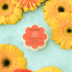 Lily of the Valley | Daisy Spongette - Blissfully Lavender BoutiqueSpongellé