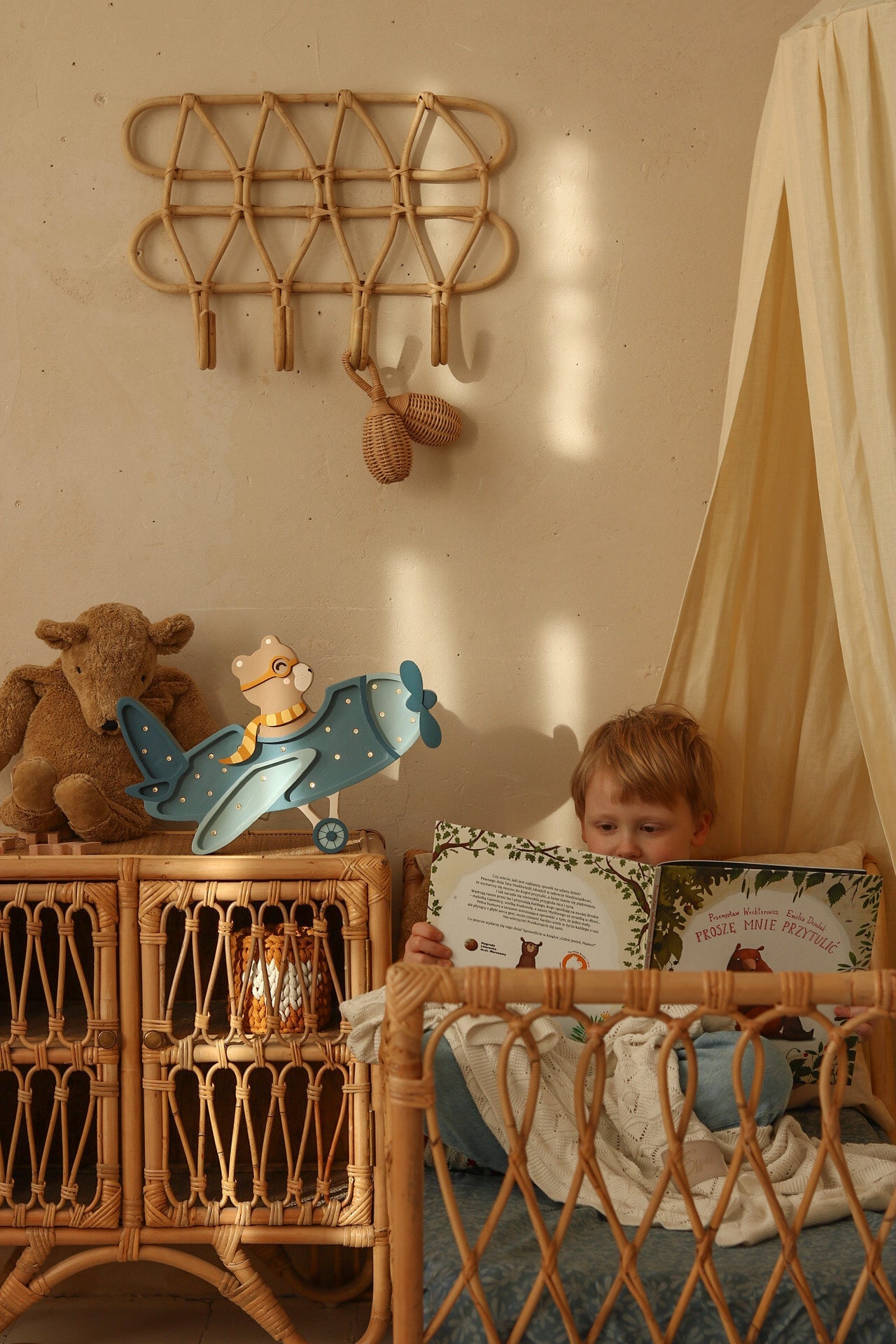 Little Lights Vintage Plane