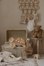 Little Lights Turtle Lamp