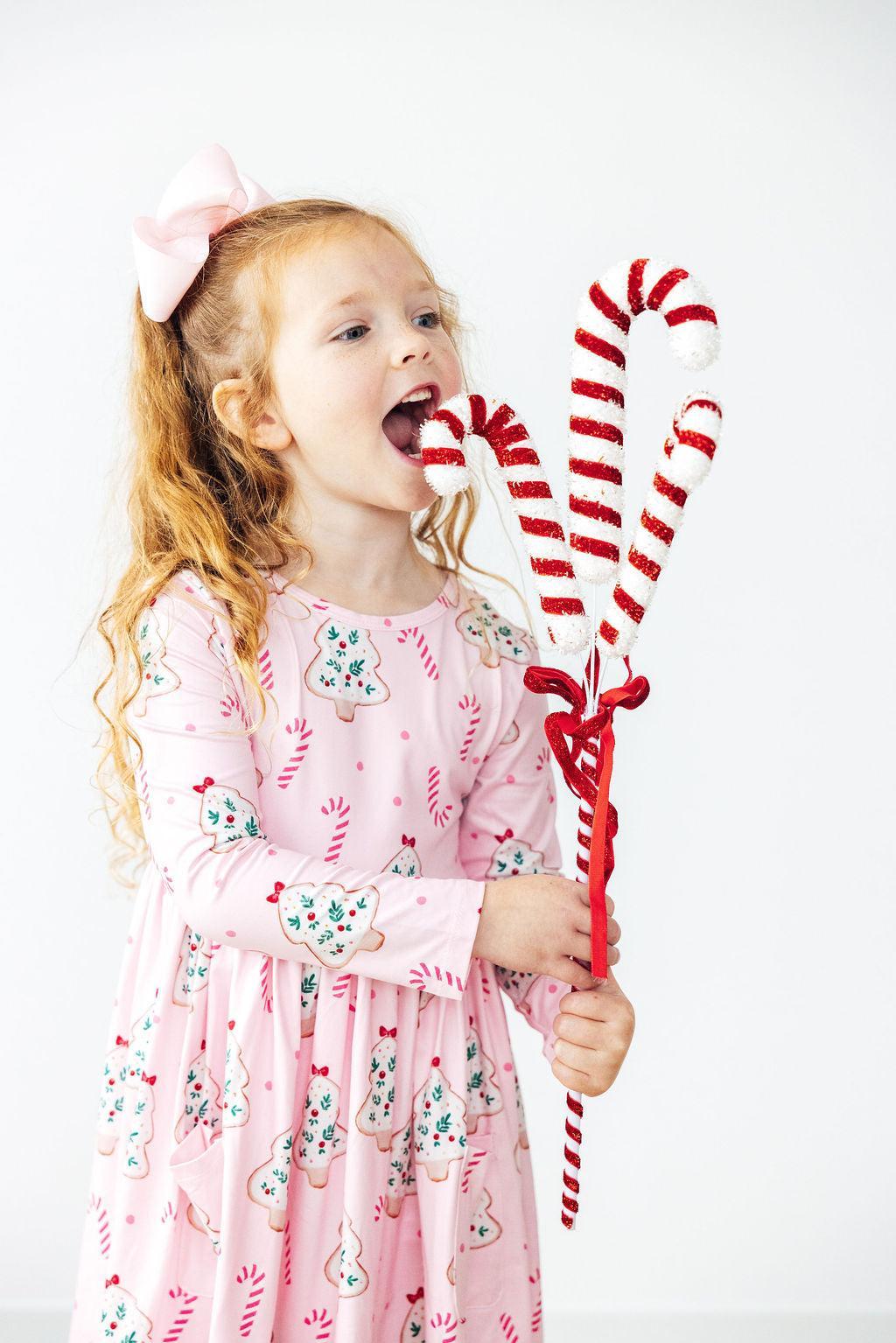 Christmas Cookies L/S Pocket Twirl Dress