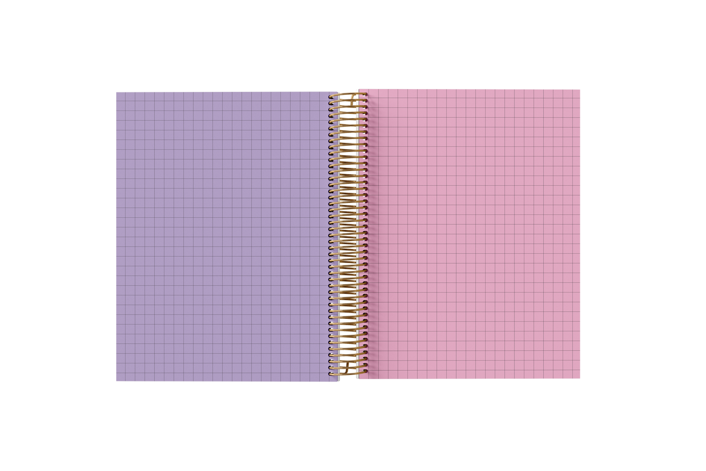 Graph Holographic Notebook