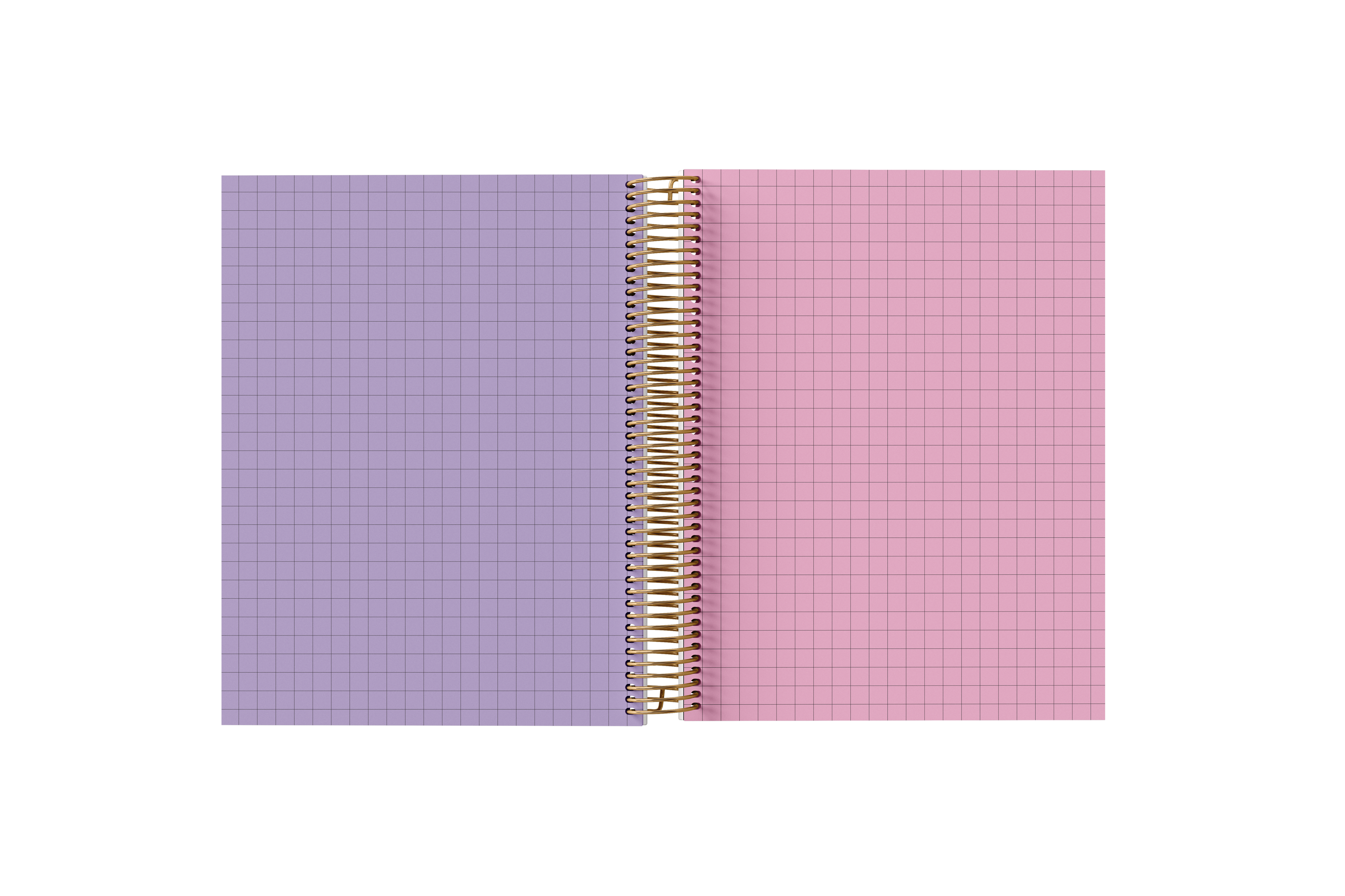 Graph Paper Holographic Notebook by BERTEAU & Co.
