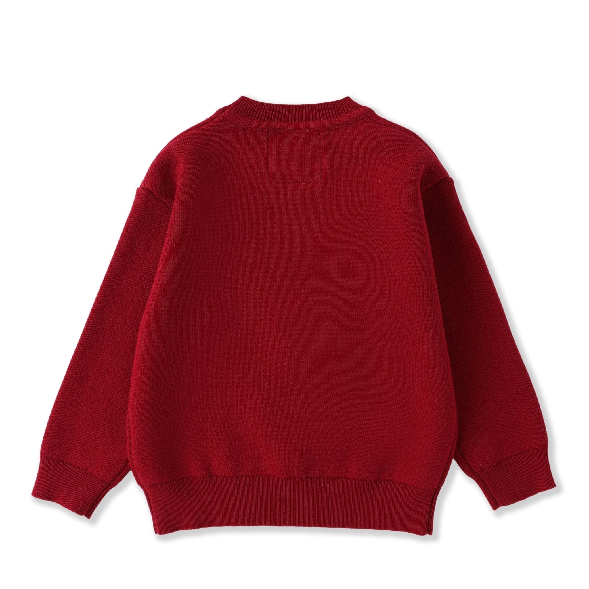 Red Santa Sweater