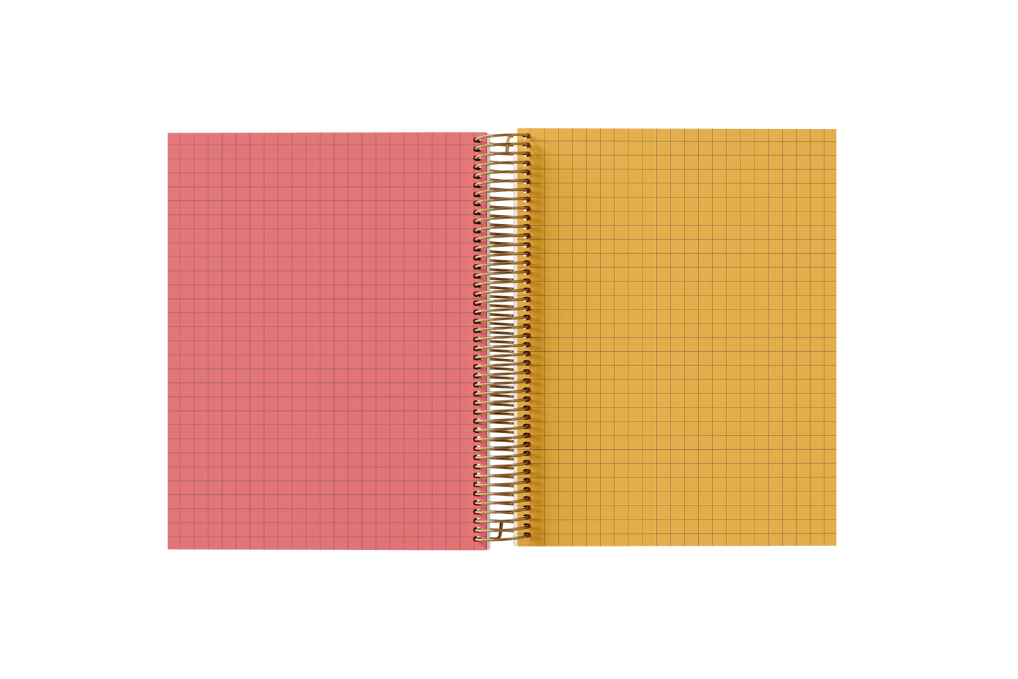 Graph Holographic Notebook