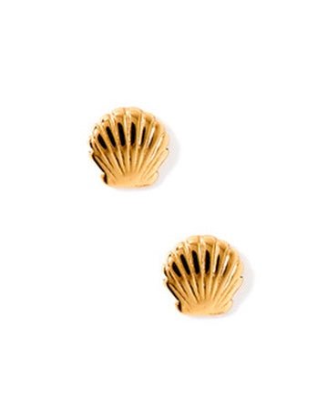 Marina Seashell Screwback Stud Earrings for Girls