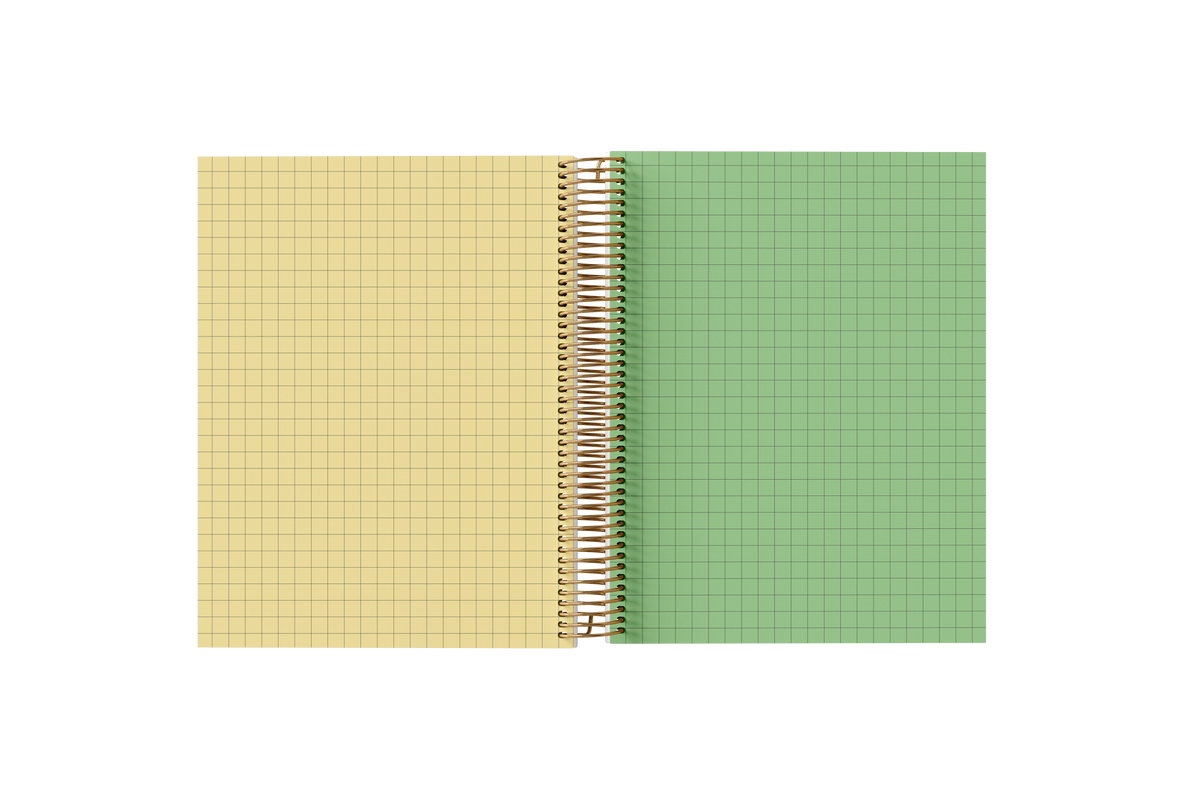 Graph Holographic Notebook