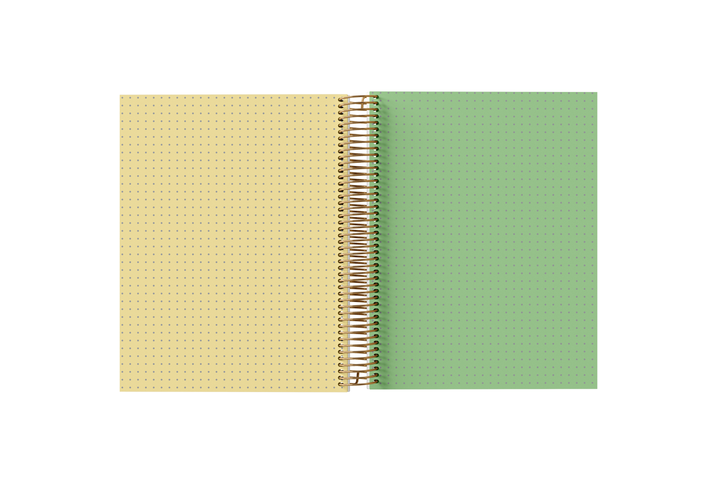 Dotted Grid Notebook - Holographic