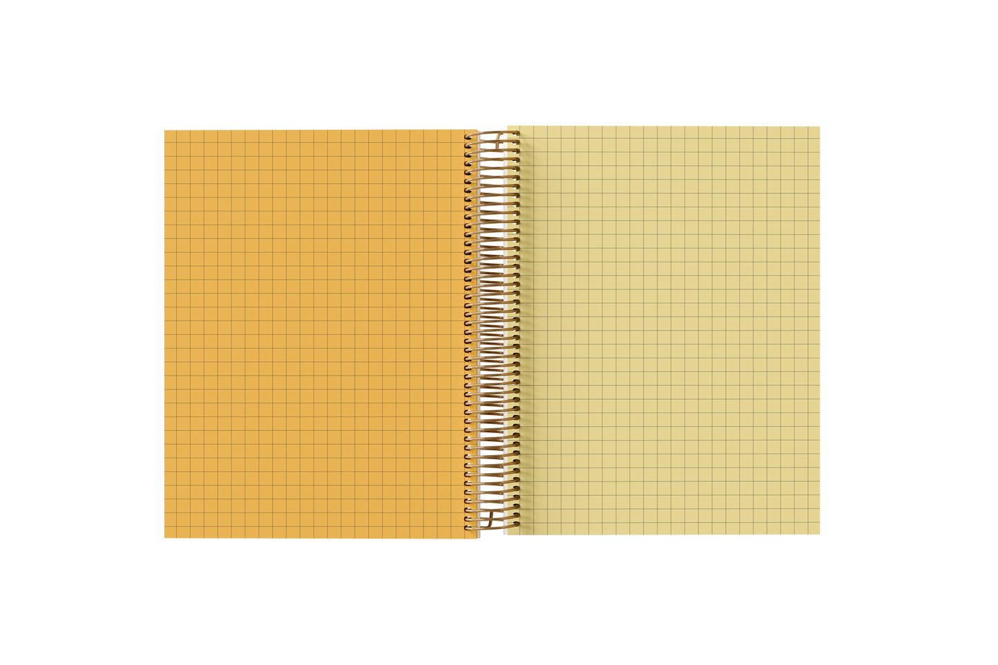 Graph Holographic Notebook