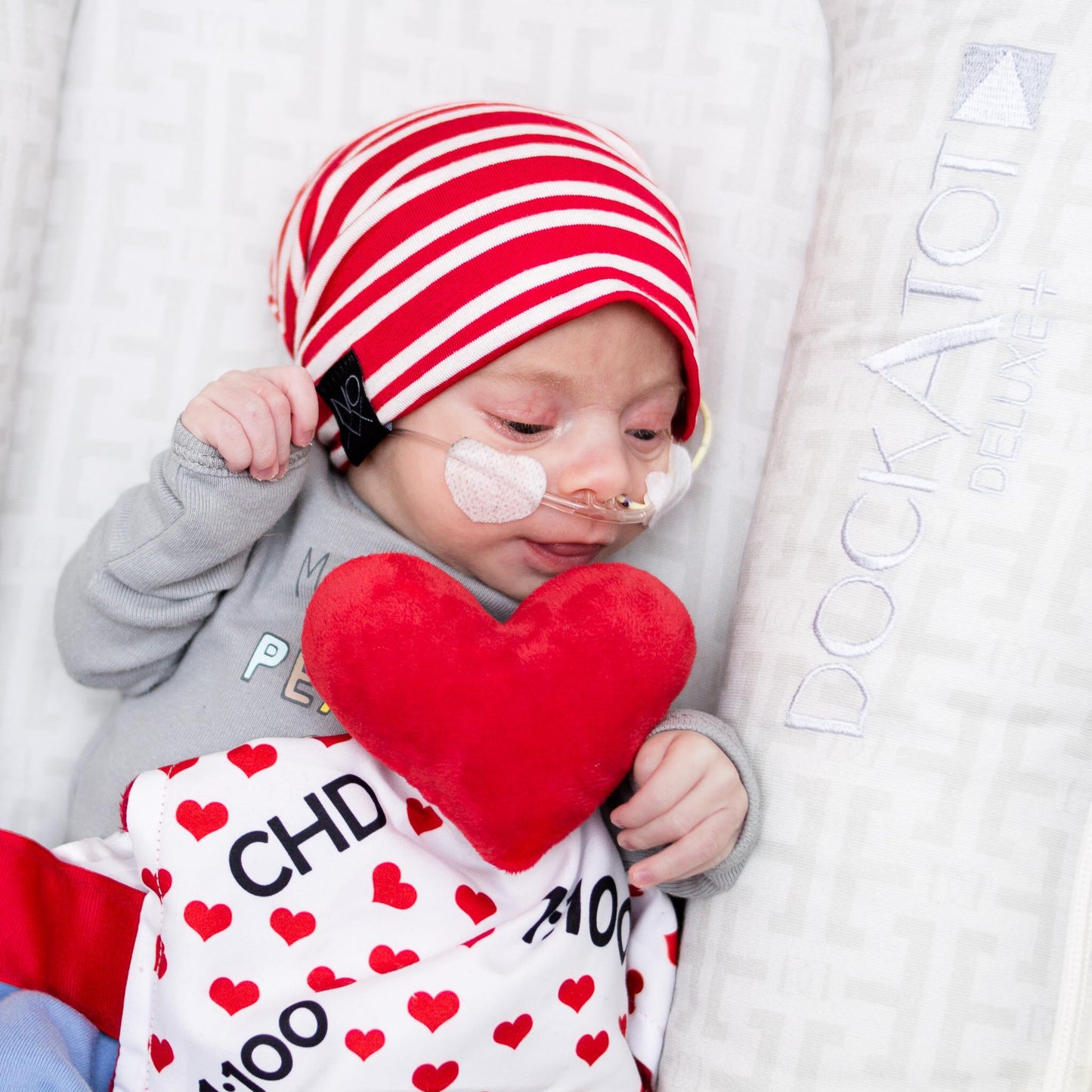 CHD Awareness 1:100 Tag Toy Lovey by Baby Jack